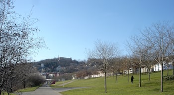 Vue, vers le nord-ouest, du parc Saint-Clair dans la commune de Caluire-et-Cuire près de Lyon.
