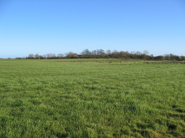 Foto “Kelk” tomada por Stephen Horncastle (CC BY-SA); recorte de la original