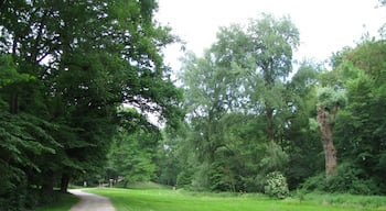 die Wiese im westlichen Bereich des Park Schönfeld