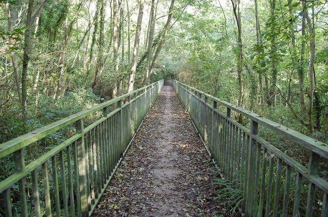 Footbridge in Woods