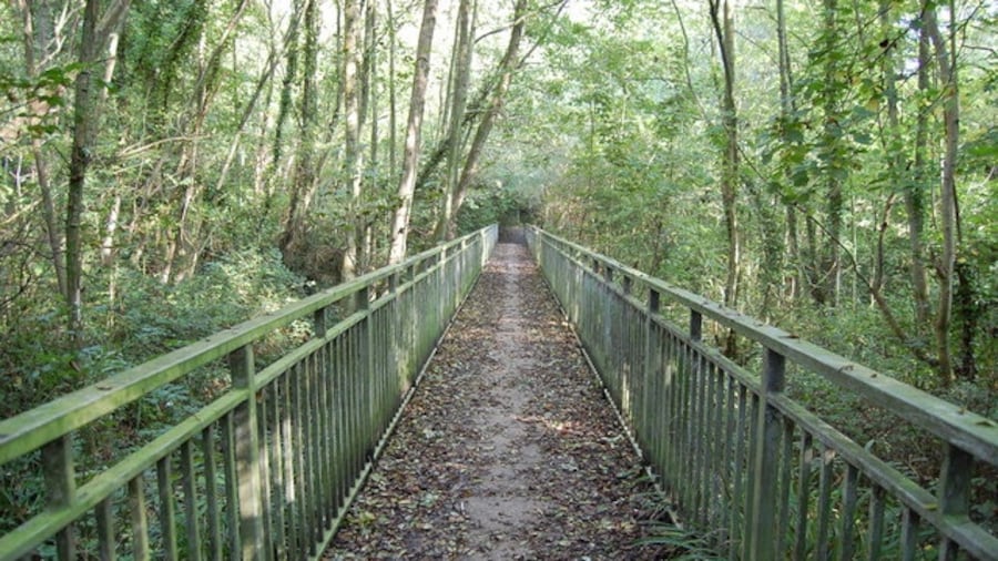 Photo "Footbridge in Woods" by Oliver P Guffogg (Creative Commons Attribution-Share Alike 2.0) / Cropped from original