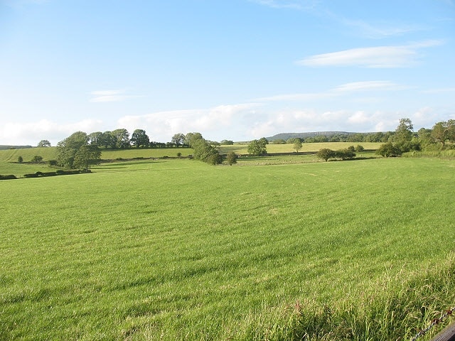 Flat grasslands in the Aire Valley near Skipton A view from Culvert Lane near Stirton.