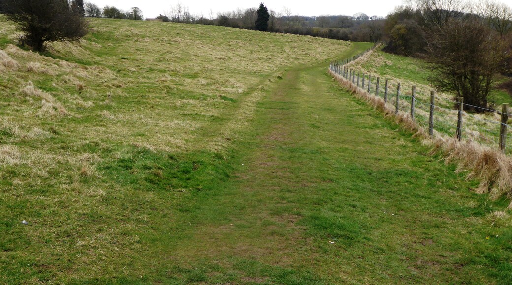 Ảnh "Wye with Hinxhill" của Dudley Miles (CC BY-SA) / Cắt từ ảnh gốc