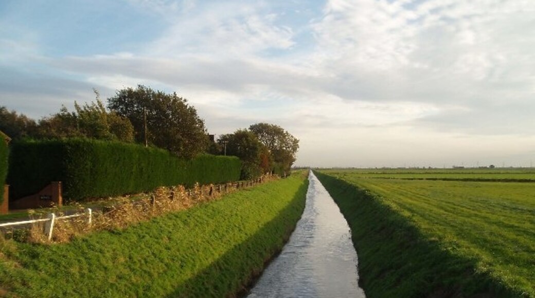 "Marshland St James"-foto av Dr Charles Nelson (CC BY-SA) / Urklipp från original