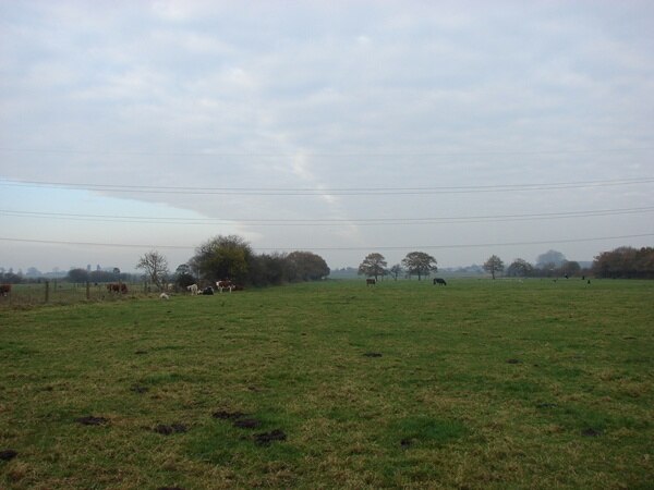 Pentney cow meadow There was not much sign on the ground of the public footpath.