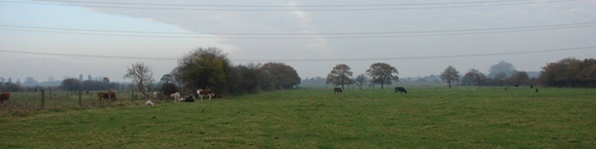 Photo "Pentney cow meadow There was not much sign on the ground of the public footpath." by Robert Walden (Creative Commons Attribution-Share Alike 2.0) / Cropped from original