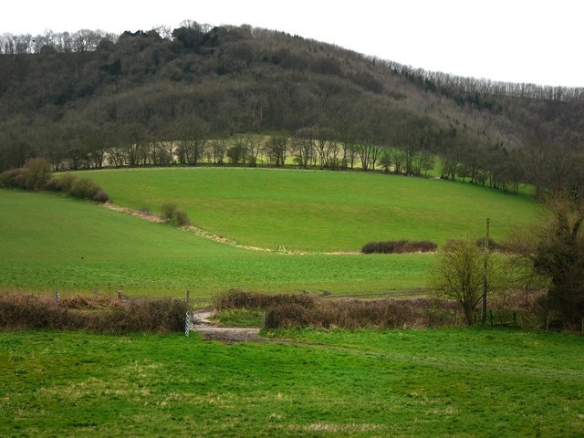 View from St Mary's churchyard, Bepton