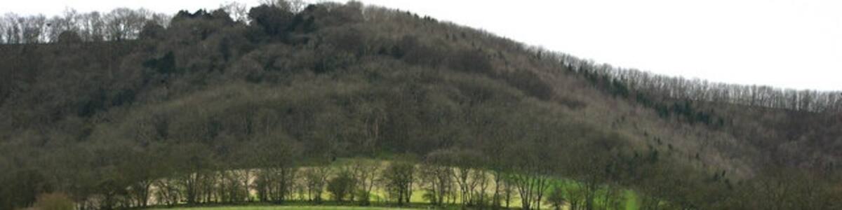 Photo "View from St Mary's churchyard, Bepton" by Chris Gunns (Creative Commons Attribution-Share Alike 2.0) / Cropped from original