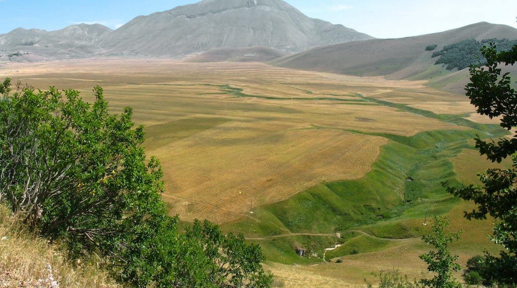 Photo "Piani di Castelluccio" by Peter Forster (CC BY-SA) / Cropped from original
