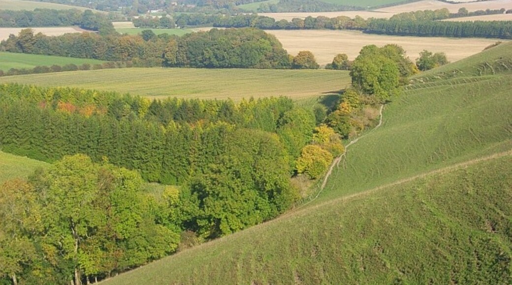 Foto "Ham" por Andrew Smith (CC BY-SA) / Recortada de la original