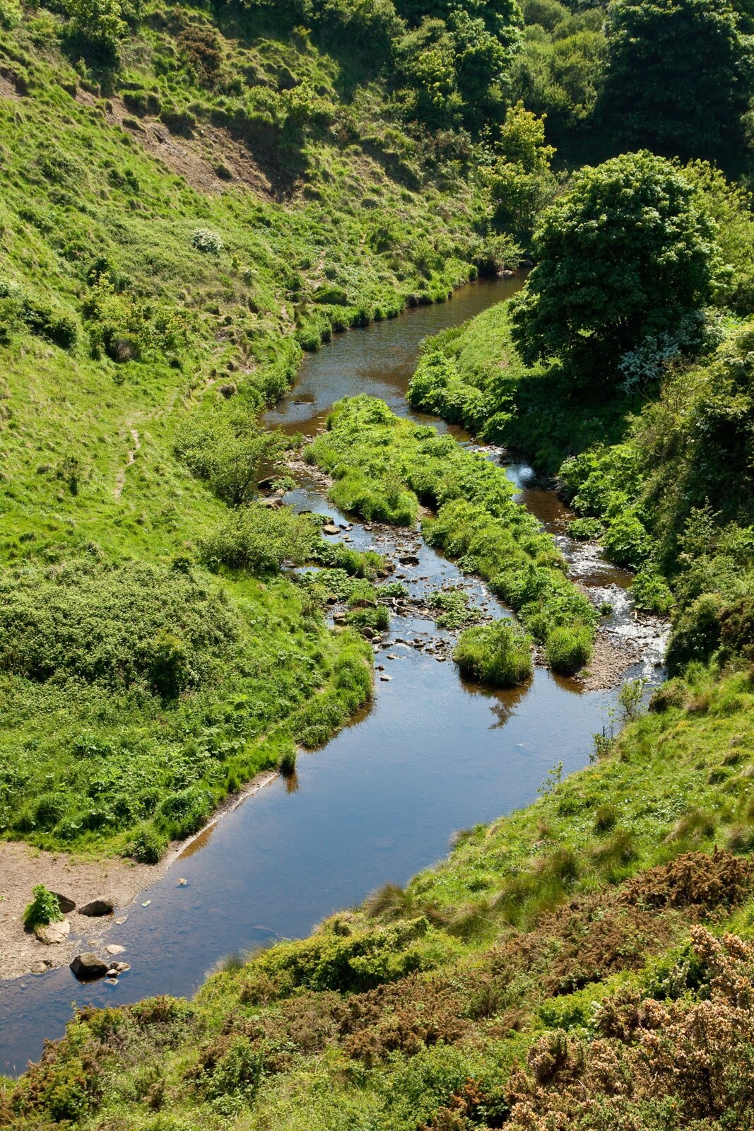 Photo "Newby and Scalby" by Paul Lakin (CC BY) / Cropped from original