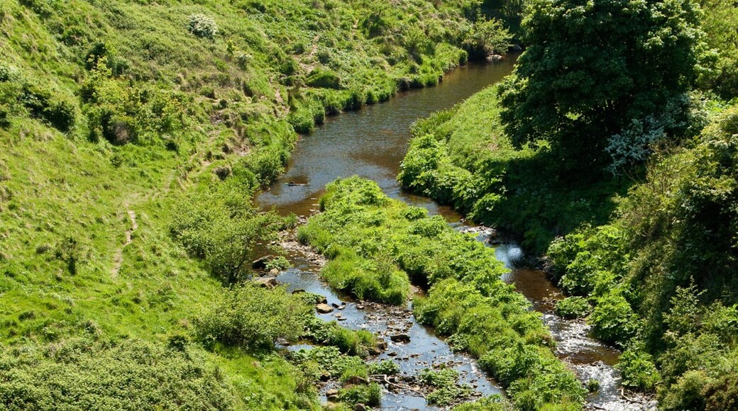 Photo "Newby and Scalby" by Paul Lakin (CC BY) / Cropped from original