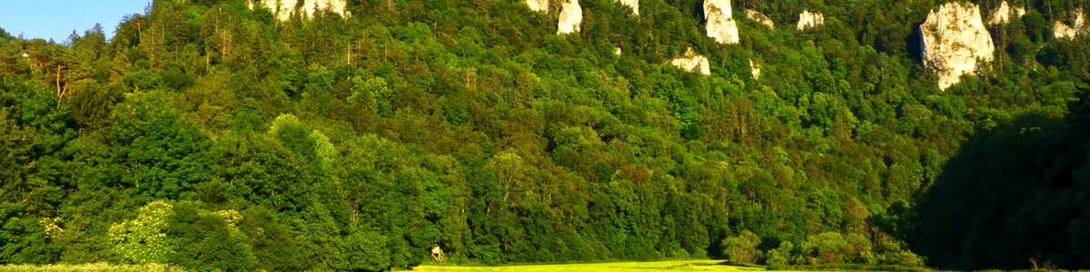 Photo "Upper Danube Valley" by Dg-505 (Creative Commons Attribution 3.0) / Cropped from original