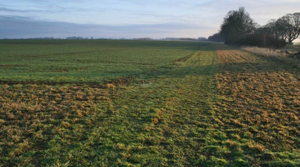 Foto „Welby“ von Kate Jewell (CC BY-SA)/zugeschnittenes Original