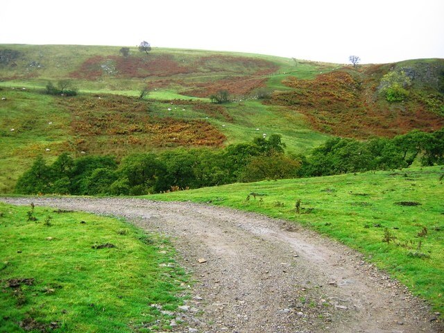 Photo "New Forest" by Graham Scarborough (CC BY-SA) / Cropped from original
