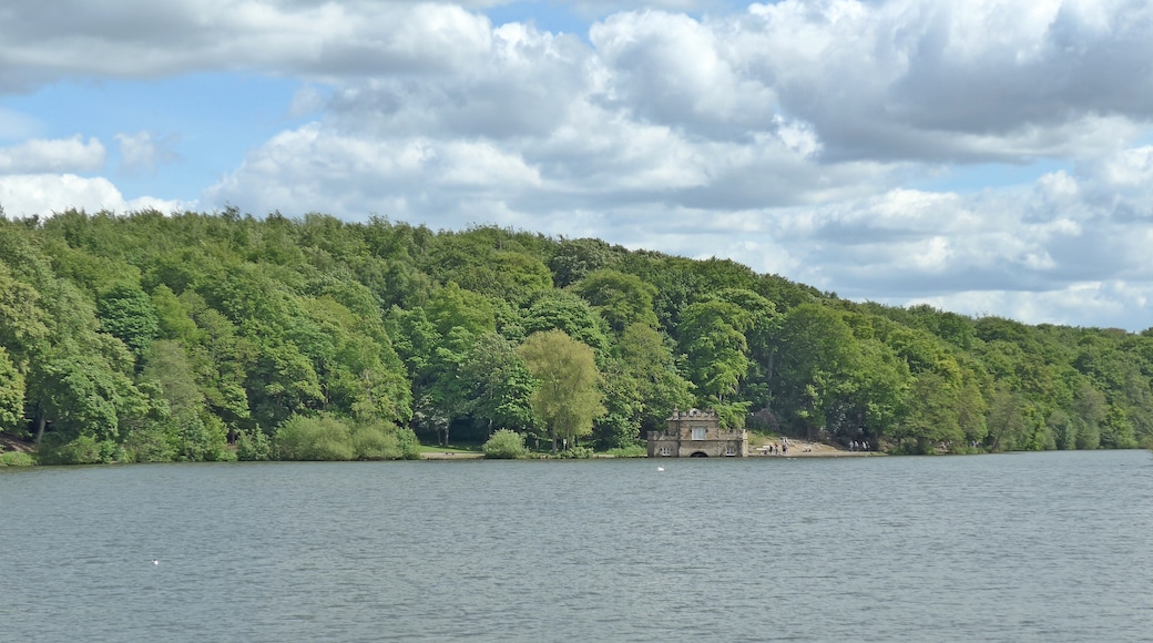 Photo "Newmillerdam Country Park" by Tim Green (CC BY) / Cropped from original