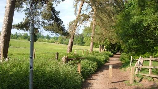 Photo "Soulbury" by Mr Biz (CC BY-SA) / Cropped from original