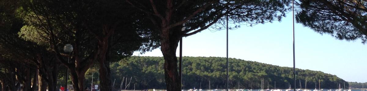 Photo "plage de Maubuisson" by Nanouk (Creative Commons Attribution 4.0) / Cropped from original