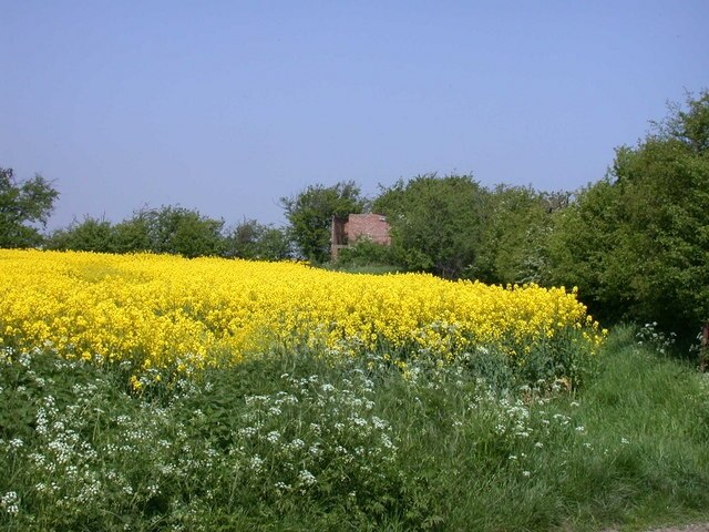 Kuva ”Ickleton” käyttäjältä Keith Edkins (CC BY-SA) / rajattu alkuperäisestä kuvasta