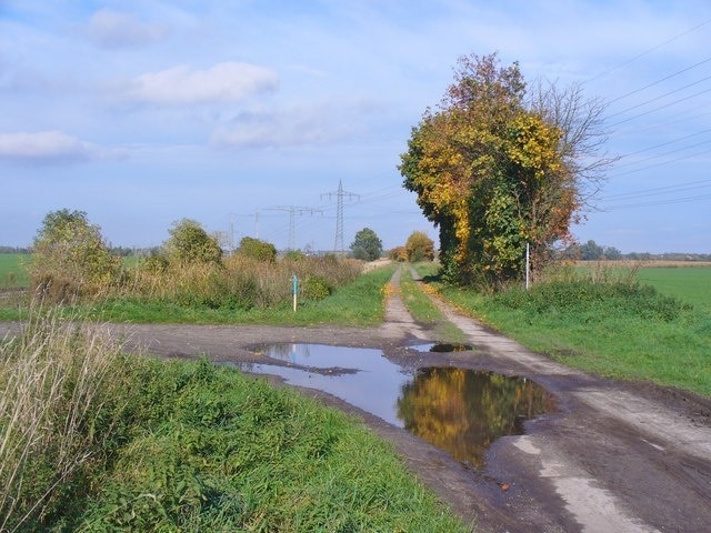 Wustermark - Feldweg