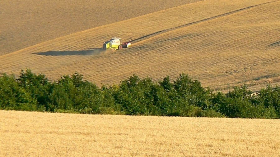 Photo "Harvesting, south of Easton Royal This is a foreshortened view of the gathering of what is probably wheat." by Brian Robert Marshall (Creative Commons Attribution-Share Alike 2.0) / Cropped from original