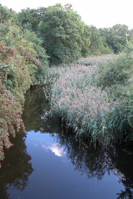 Foto “North Claines” tomada por Philip Halling (CC BY-SA); recorte de la original