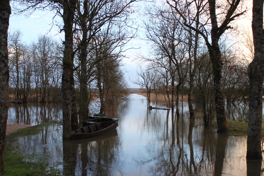 Le port du Montru noyé sous la crue (février 2014) du marais de Goulaine, Fr-44-la Chapelle-Heulin.