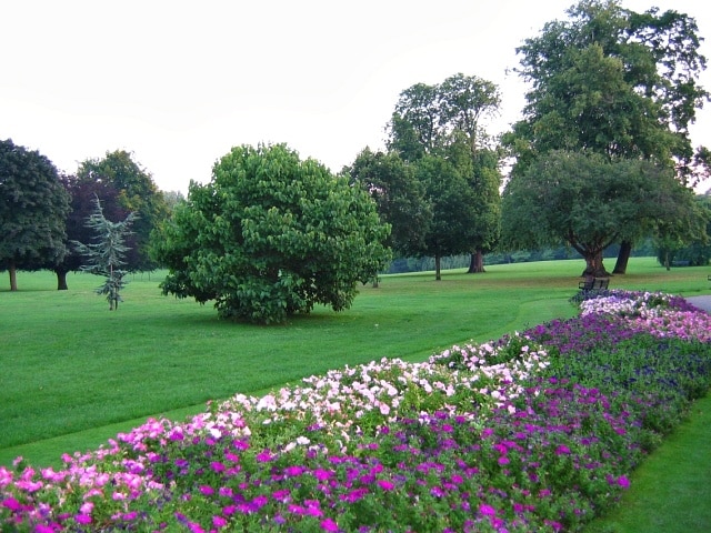 Flower Beds and trees. The flower beds are always colourful and well presented in Cheam park.