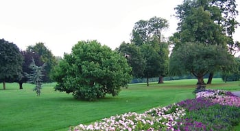 Flower Beds and trees. The flower beds are always colourful and well presented in Cheam park.