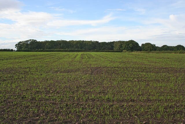 Photo "East Stoke" by Kate Jewell (CC BY-SA) / Cropped from original