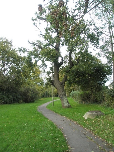 Bend in path running parallel to Stockheath Lane