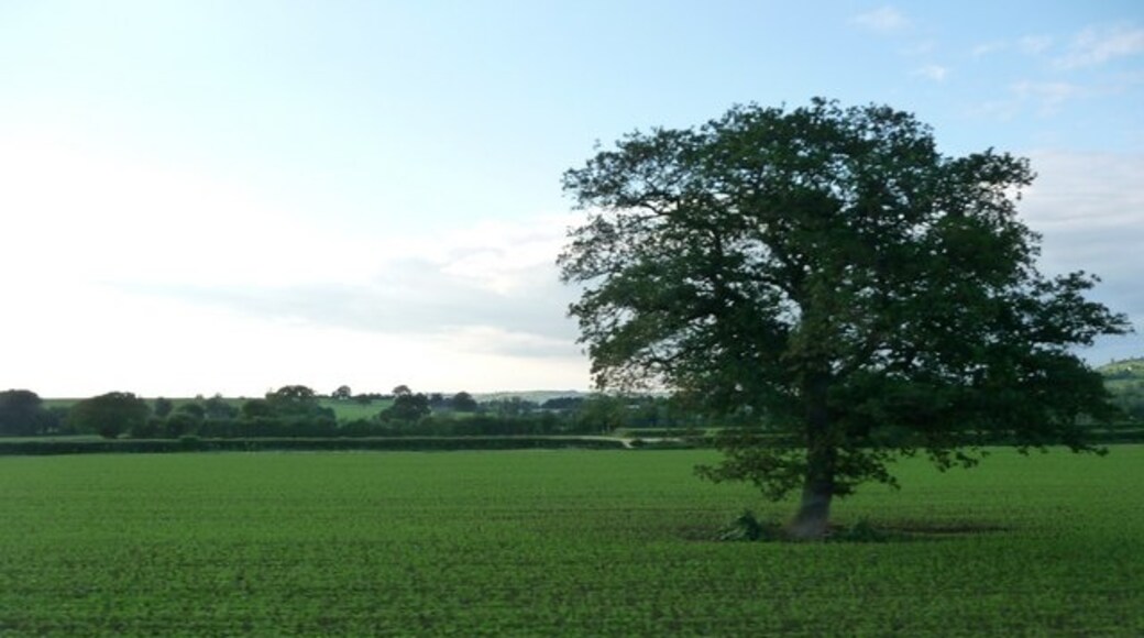 "Ansford"-foto av Lewis Clarke (CC BY-SA) / Urklipp från original