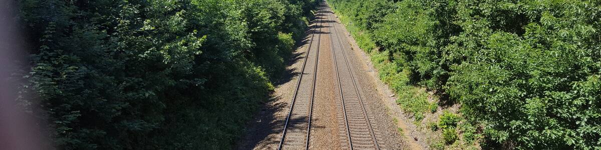 Photo "Dresdner Heide, Unterringelweg, Bahnstrecke bei Langebrück" by Bybbisch94 (Creative Commons Attribution-Share Alike 4.0) / Cropped from original