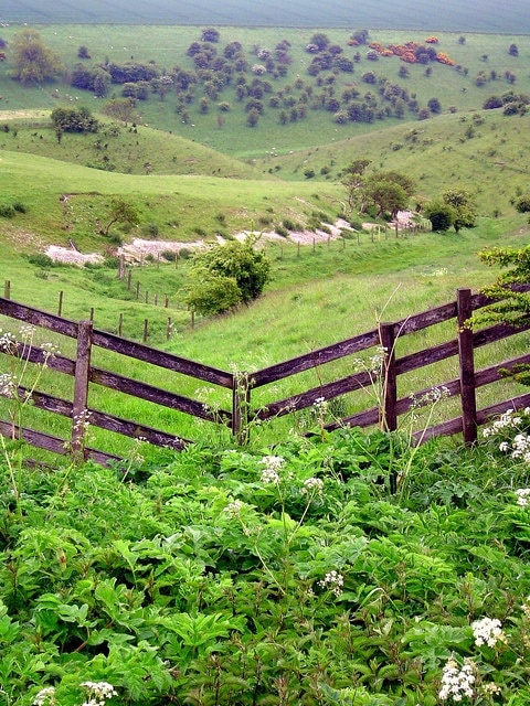 Foto „Wharram“ von Scott Rimmer (CC BY-SA)/zugeschnittenes Original