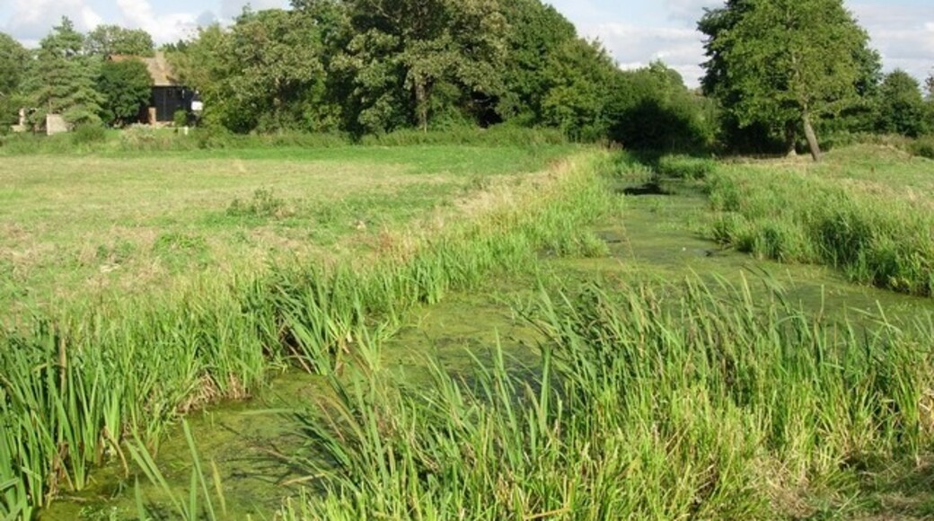 Foto "Fen Ditton" por Hugh Venables (CC BY-SA) / Recortada de la original