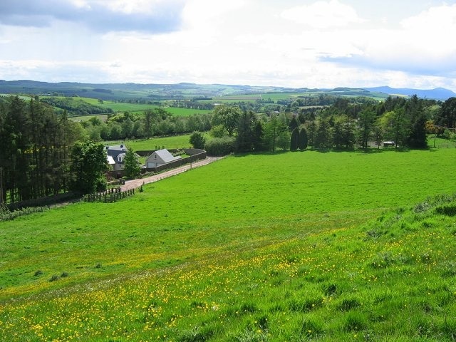 Clatto Hill. Taken from near the reservoir at the top of Clatto Hill, a buttercup meadow falls to a lane with some big houses on it.