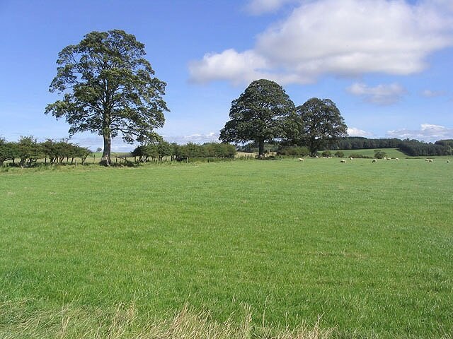 Pasture north of Netherton