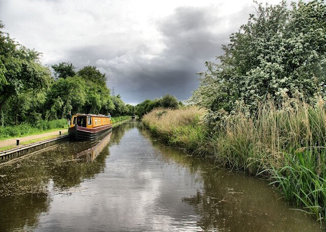 Foto “Hindlip” tomada por Pierre Terre (CC BY-SA); recorte de la original