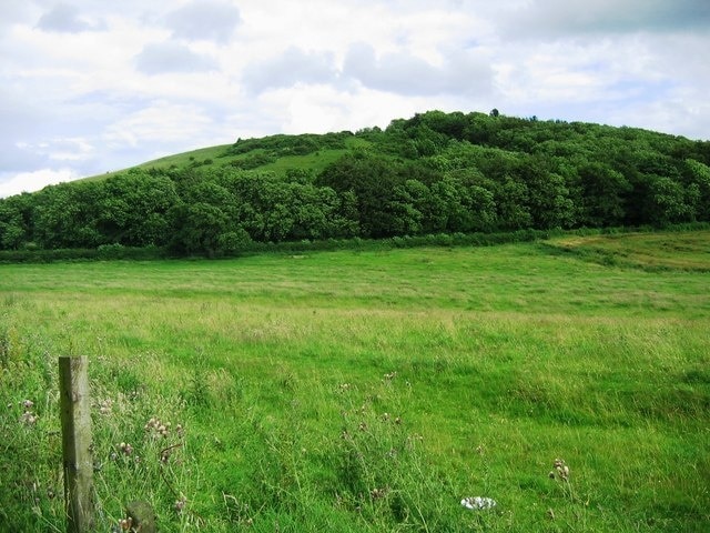 Herrington Hill Herrington Hill is an SSSI, of interest due to its Magnesian Limestone grassland communities, which are associated with undisturbed shallow soils.