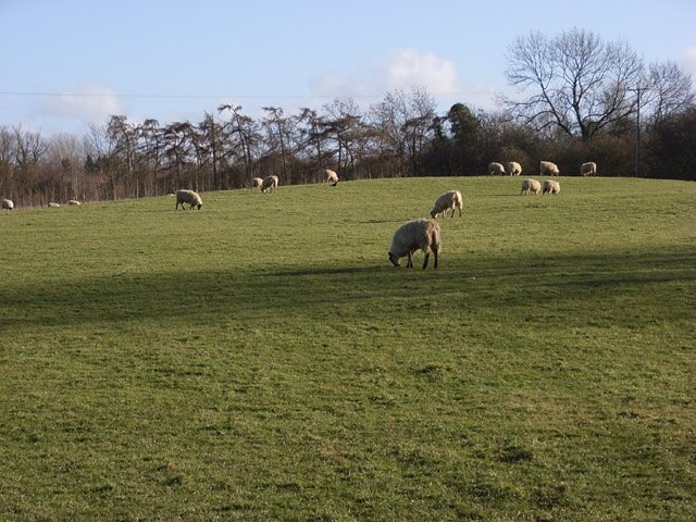 Foto „Thornborough“ von Andrew Smith (CC BY-SA)/zugeschnittenes Original