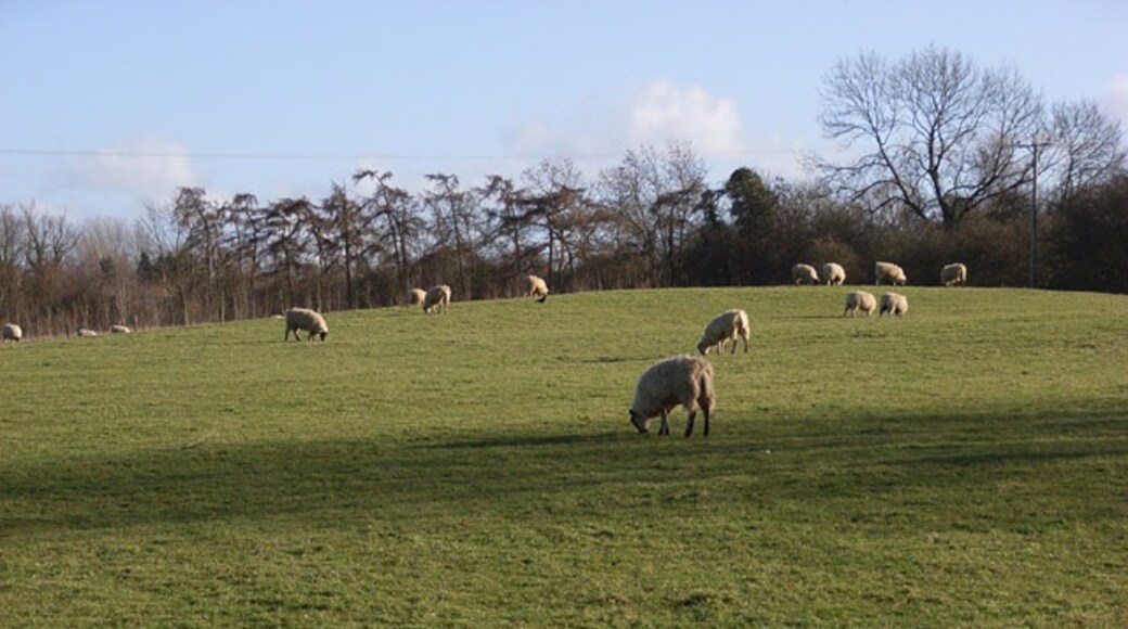 Foto „Thornborough“ von Andrew Smith (CC BY-SA)/zugeschnittenes Original