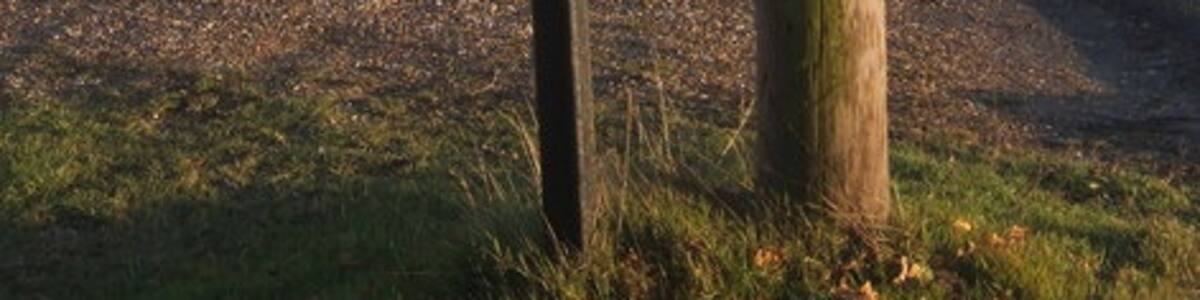 Photo "Postbox near Ringshall Very close to gridline, but looking into the square." by Andrew Hill (Creative Commons Attribution-Share Alike 2.0) / Cropped from original