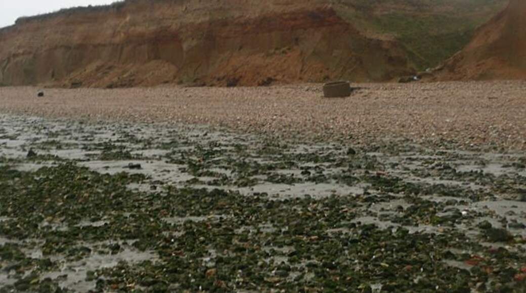 Photo "Solent Breeze Beach" by Graham Horn (CC BY-SA) / Cropped from original