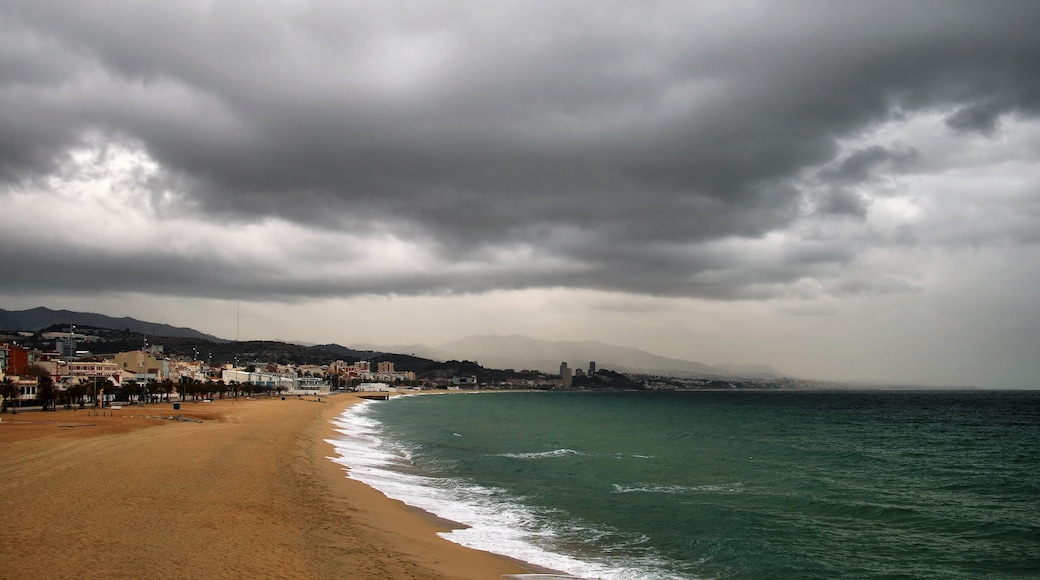 "Badalonas strand"-foto av Jorge Franganillo (CC BY) / Urklipp från original