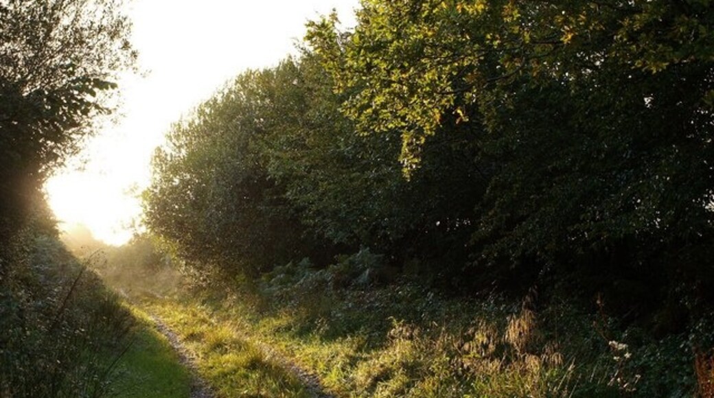 "Rose Ash"-foto av Derek Harper (CC BY-SA) / Urklipp från original