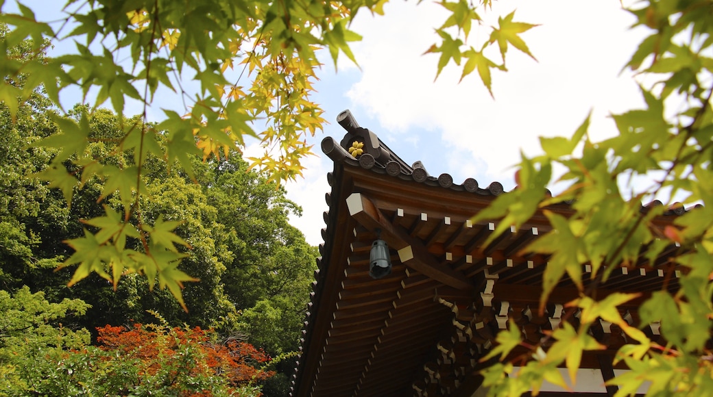Foto ‘Jindaiji Temple’ van Kanchi1979 (CC BY-SA) / bijgesneden versie van origineel