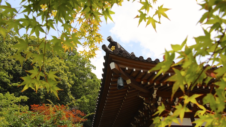 Photo "深大寺の本堂" by Kanchi1979 (Creative Commons Attribution-Share Alike 4.0) / Cropped from original