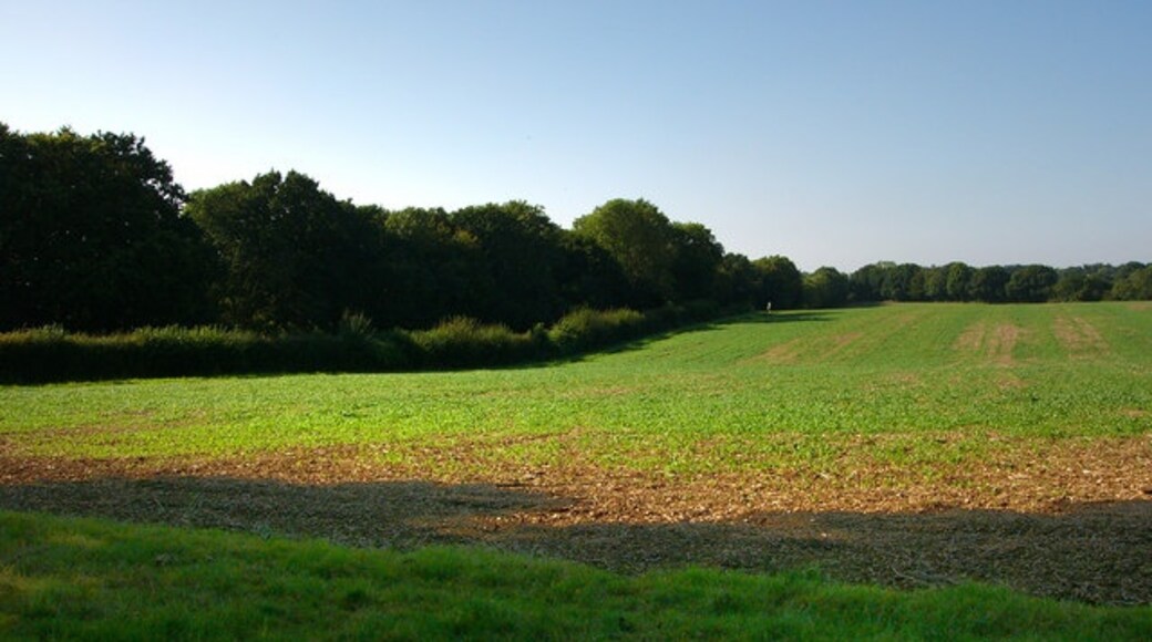 Photo "Froxfield and Privett" by Chris Gunns (CC BY-SA) / Cropped from original