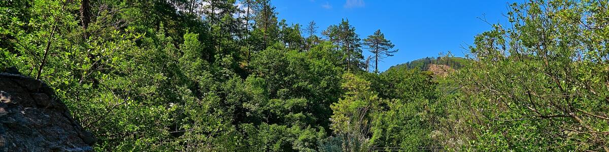 Photo "Rio Tornarolo" by Terensky (Creative Commons Attribution 3.0) / Cropped from original