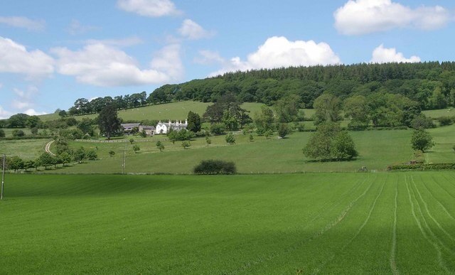 Belgate Farm and Shobdon Hill Wood Mixed farm on slopes of Shobdon Hill.